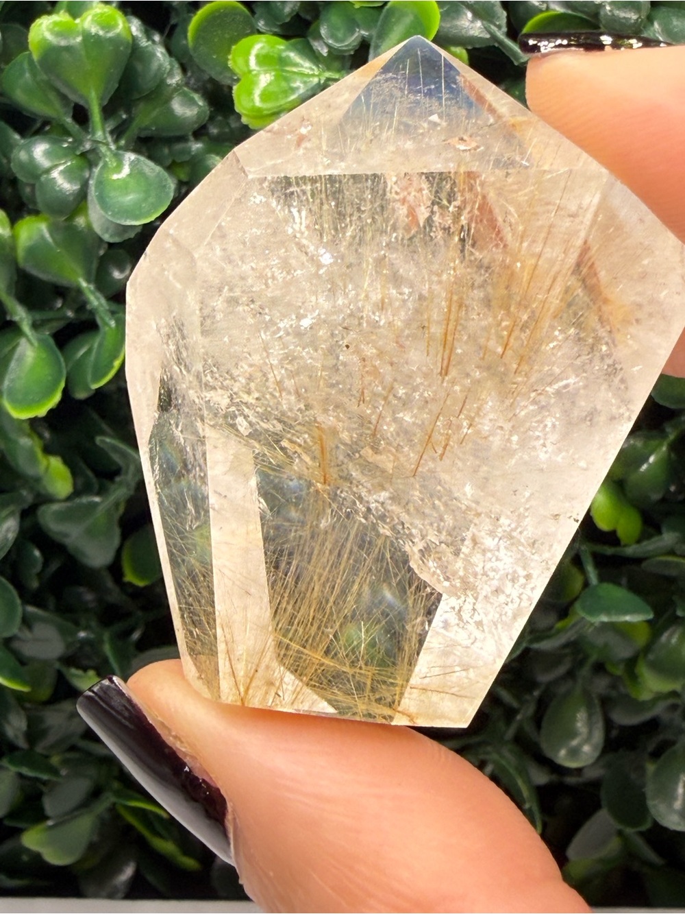 Golden Rutilated Quartz Crystal Point - Picture 5 of 9